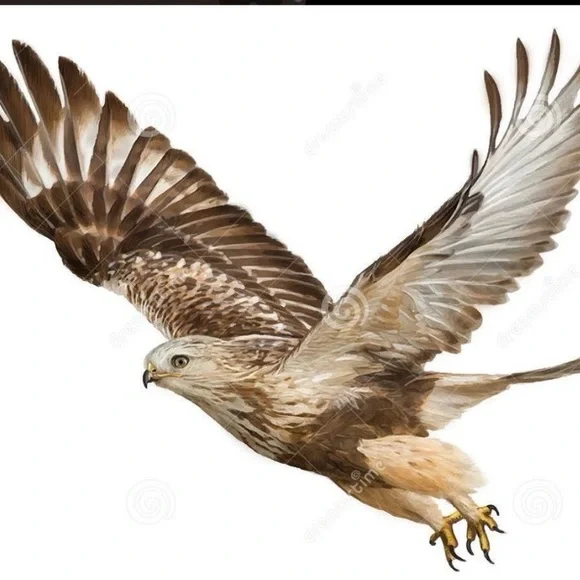 Many prom/ Evening Gowns and accessories available - Picture 14 of 16